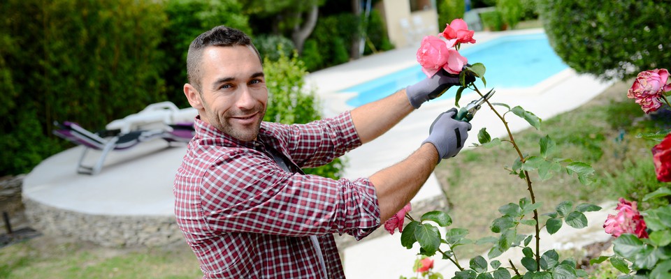 Comment devenir architecte paysagiste ?